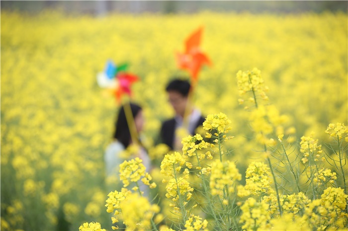 你有故事我有酒，相逢周庄风车季