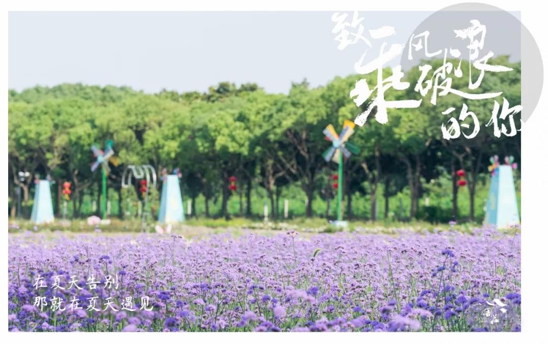 毕业季 | 有朋自远方来，周庄等你。