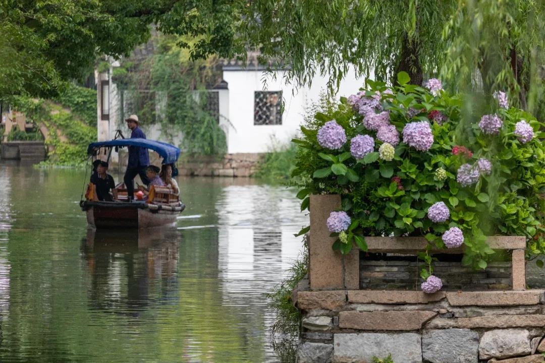 关于周庄景区端午假期面向身着传统汉服的游客限量免费开放的公告